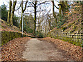 Path from Heathlands to Hilton Lane in Greater Manchester