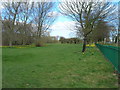 Parkland beside Dane Park Road in HU6 9SS
