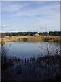 Lake in the Hurst plantation in DN9 3NW