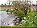 Pond at Wyphurst Home Farm in Cranleigh East Ward