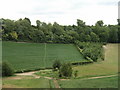 North Downs Way, near Halling in ME2 1FW