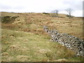 Dry stone wall in the valley in SY21 0JJ