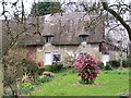 Thatched cottage on corner of Rookery Lane in SP6 2BU