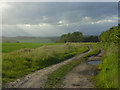 Farm track, Brimpton in Brimpton Common