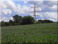 Farmland and pylon, Wolverton in RG26 5SX