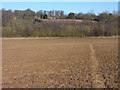 Farmland, Beenham in RG7 5NY