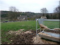Cotswold smallholding in GL6 7PJ
