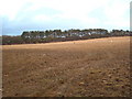 Field of stubble on the road to Zelah in TR4 9FA