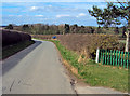 Lane north of Thorpe Constantine in B79 0LJ