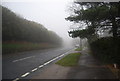 The mist descends on Elphinstone Rd in TN34 2AF