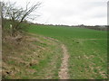 The Elham Valley Way leaves the North Downs Way near Patrixbourne in CT4 5JX