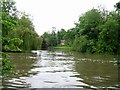 River Thames upstream of Goring in RG8 9LA