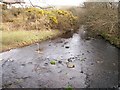 A tributary of Afon Erch upstream of Pont Hendre-garcin in LL53 6YL