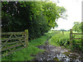 Bridleway near Over Peover in WA16 8TN