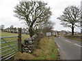 Road heading North into Upper End and Peak Dale in Limestone Peak Ward