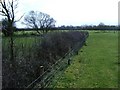 Field and River crossings, near A14 in LE17 6BX