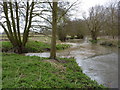 River Gipping towards Needham Market in IP6 8QG