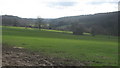 View towards Lynsore Bottom in CT4 6EQ
