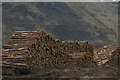 Logging, Glen Clova in DD8 4RB