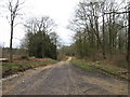 Track in Ampfield Wood in SO21 2JL