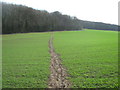 Bridleway to Whitehill Wood in CT4 7AF
