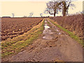 Farm track near No Man's Heath in B79 0NP