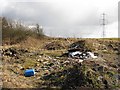 Dumped rubbish, Holytown in ML1 5RU