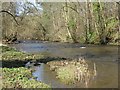 The River Avon at Kinneil Mills in EH49 7PU