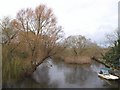 Half of the River Avon at Christchurch in BH23 1BL