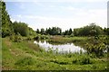 Fishing Pond in DN5 0QB