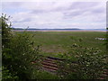 Morecambe Bay from Kents Bank in LA11 7DB