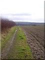 Bridleway [South view] in S65 4PD