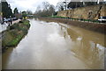 River Medway, Tonbridge in TN9 1PT