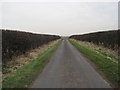 Road to Lowmoor Point and Fenham-le-Moor in NE70 7PW