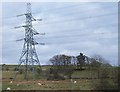 Grazing sheep beneath power lines in LL54 6TA
