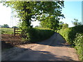 Lane near Gribbles in EX15 2NH