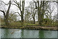 River bank opposite Cholsey in OX10 6BU