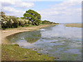 Solent shore south of Lisle Court in SO41 5SH