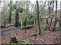 Woodland Footpath, Canford Heath in BH18 8LS