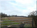 Field near Westerham Hill in TN16 2ED