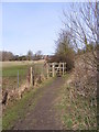 Footpath approaching Chestnut Meadow in IP19 8HH