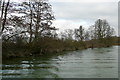 North bank of the Isis in OX10 7JP