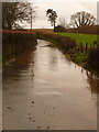 Stoke Abbott: floodwater on the Beaminster road in DT8 3LW