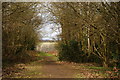 Footpath on Kenley Common, Surrey in CR3 0FR