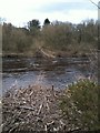 Debris washed down the river Tyne in NE42 6BH