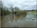 River Stour in flood,  from Ensbury Bridge in BH22 8SP