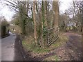 Bridleway off Pockford Road near Chiddingfold in GU8 4XT