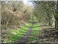 Footpath on railway trackbed towards Thornley in DH6 3LY
