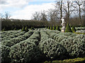 Ham House: lavender beds in TW1 2NJ