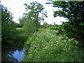 River Roding - near Miller's Green in CM5 0PZ